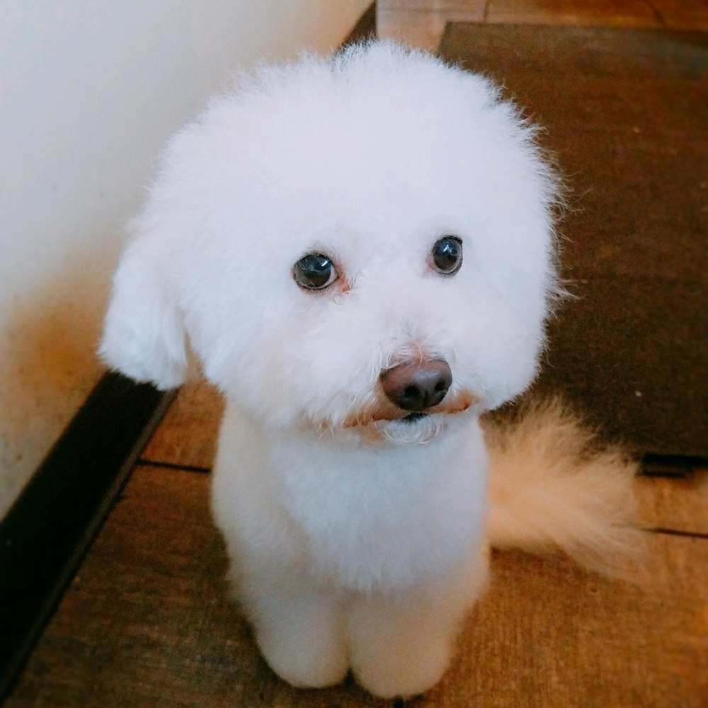 Meet your Posher, Mr